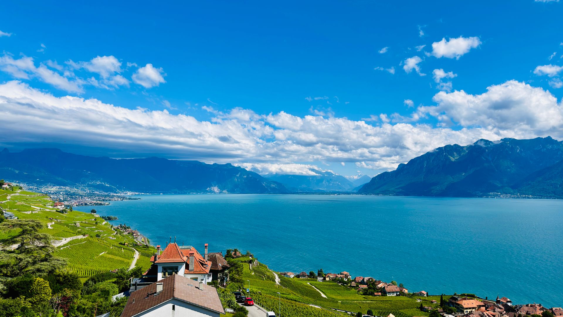 Vignoble de Lavaux au-dessus du lac Léman, canton de Vaud